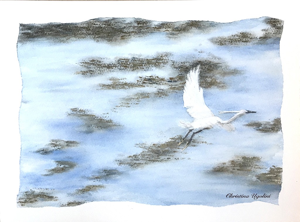 Aigrette