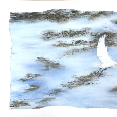 Aigrette