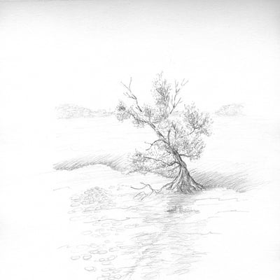 Arbre solitaire