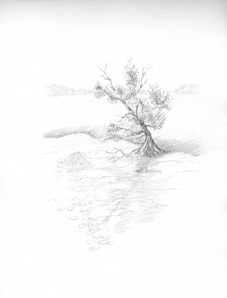 Bernard GANTNER - Paysage de montagne, Dessin original au crayon noir - Art contemporain - Plazzart