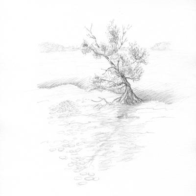 Arbre solitaire