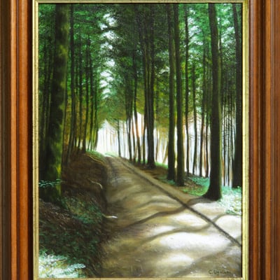 Promenade en sous-bois