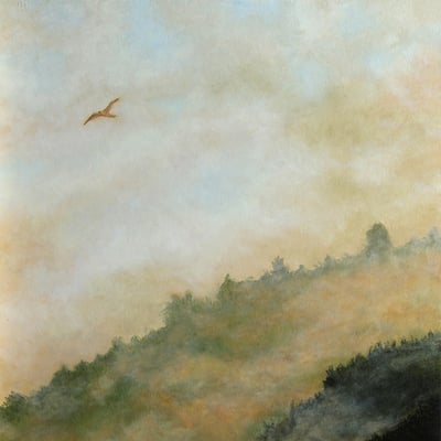 L'aigle