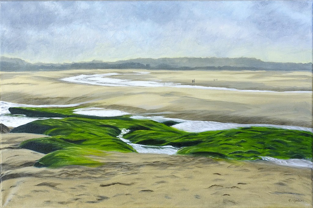 La plage d'Audresselles