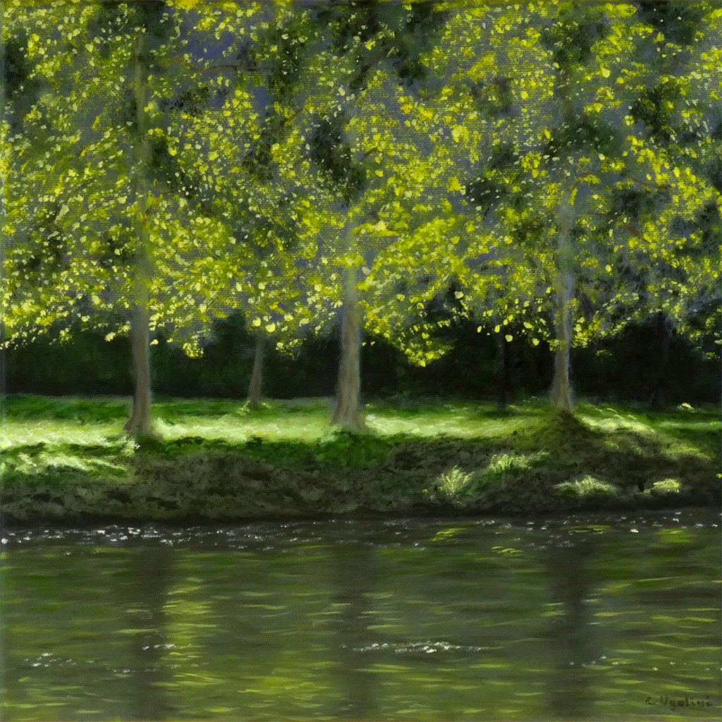 Les arbres lumineux