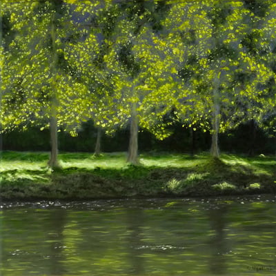 Les arbres lumineux