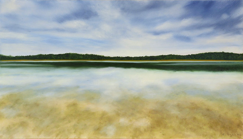 Etang de Sologne au petit matin