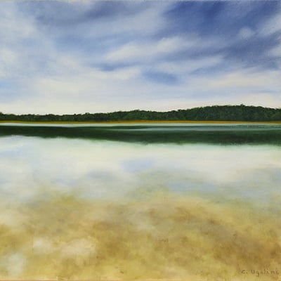Etang de Sologne au petit matin