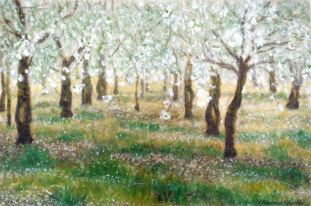 Cerisiers en fleurs