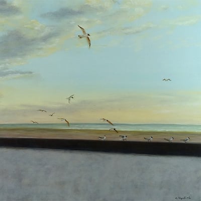La Baie d'Authie est à nous!