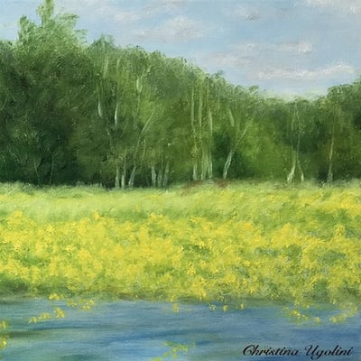 Jaune de Sologne