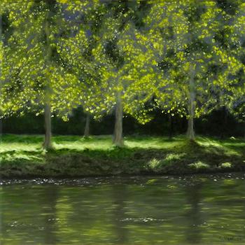 Arbres lumineux350