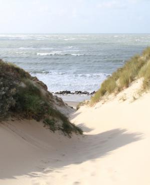 La baie d authie dunes